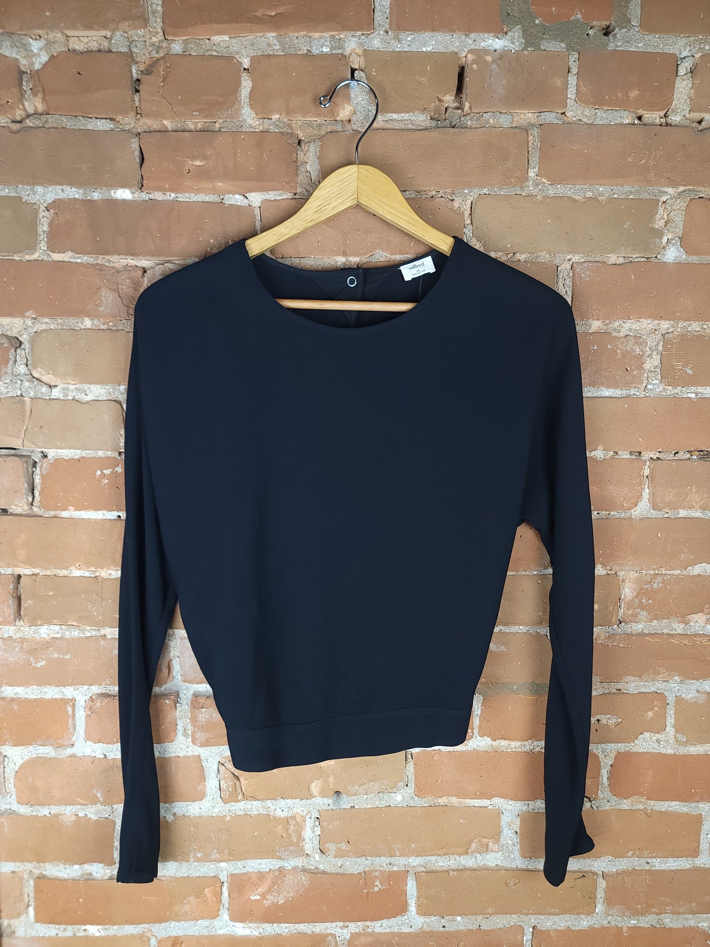 Aritzia Wilfred Open Back, Tied Long Sleeve Shirt