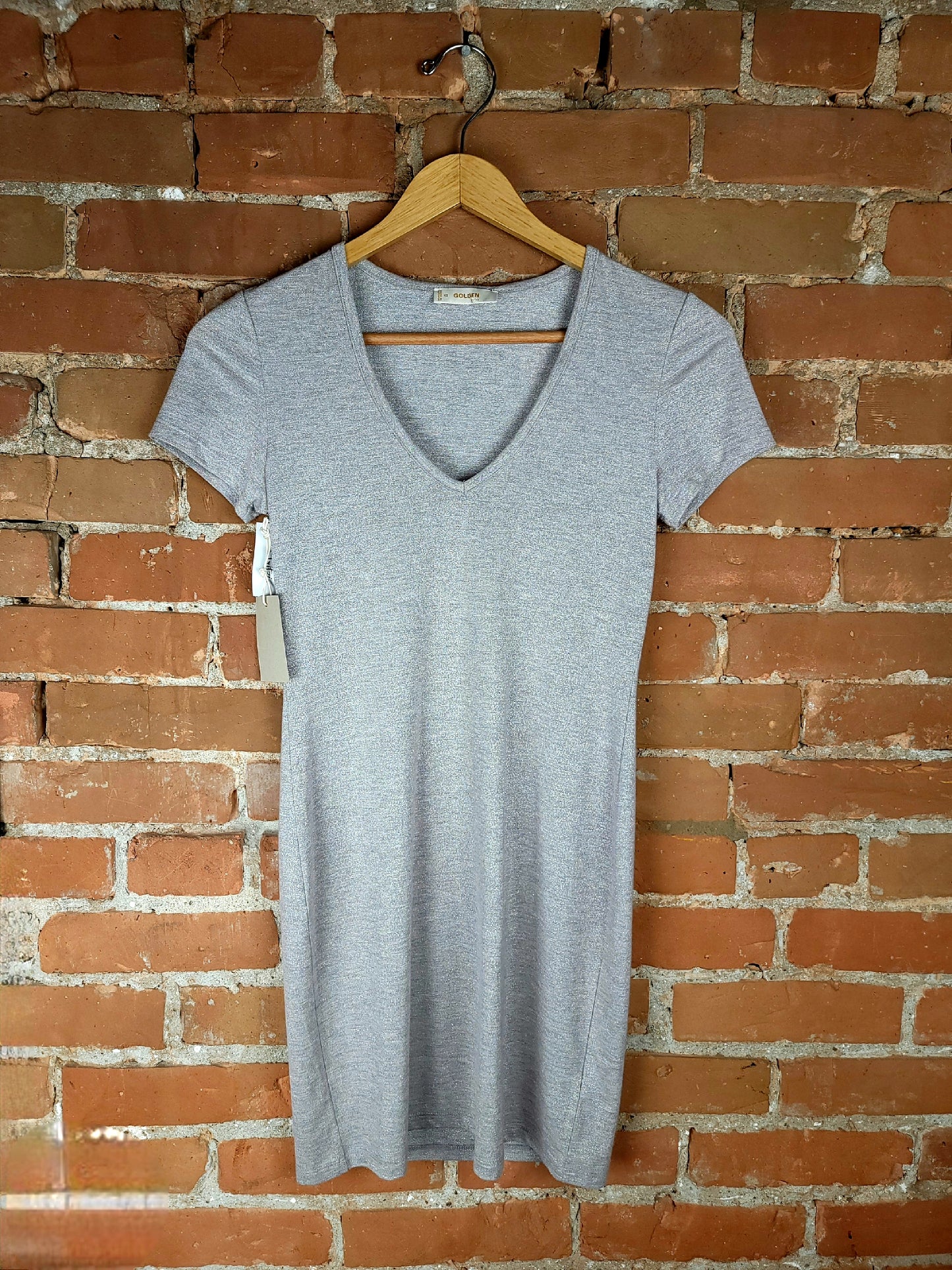 Aritzia Golden Silver Dress