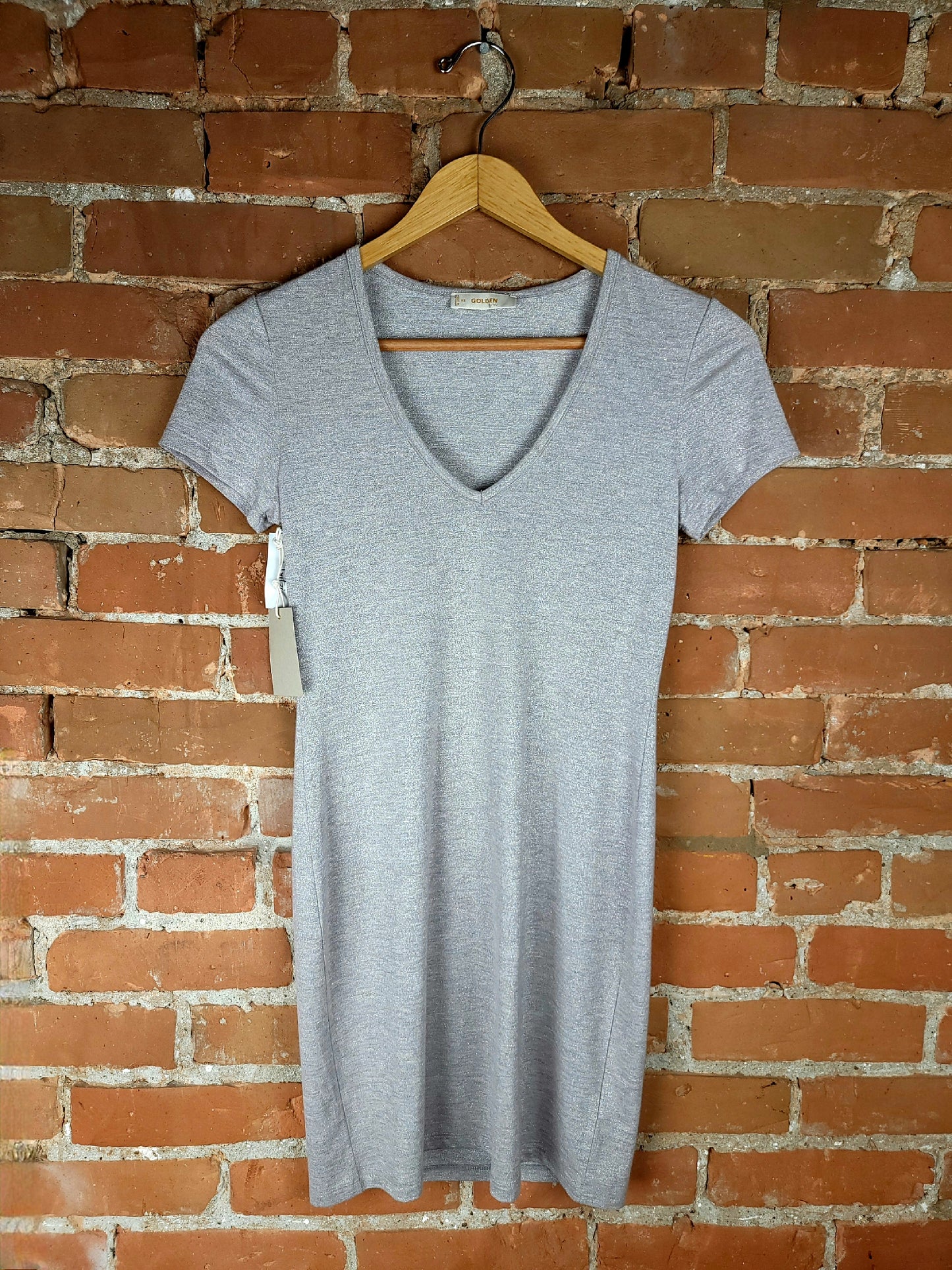 Aritzia Golden Silver Dress