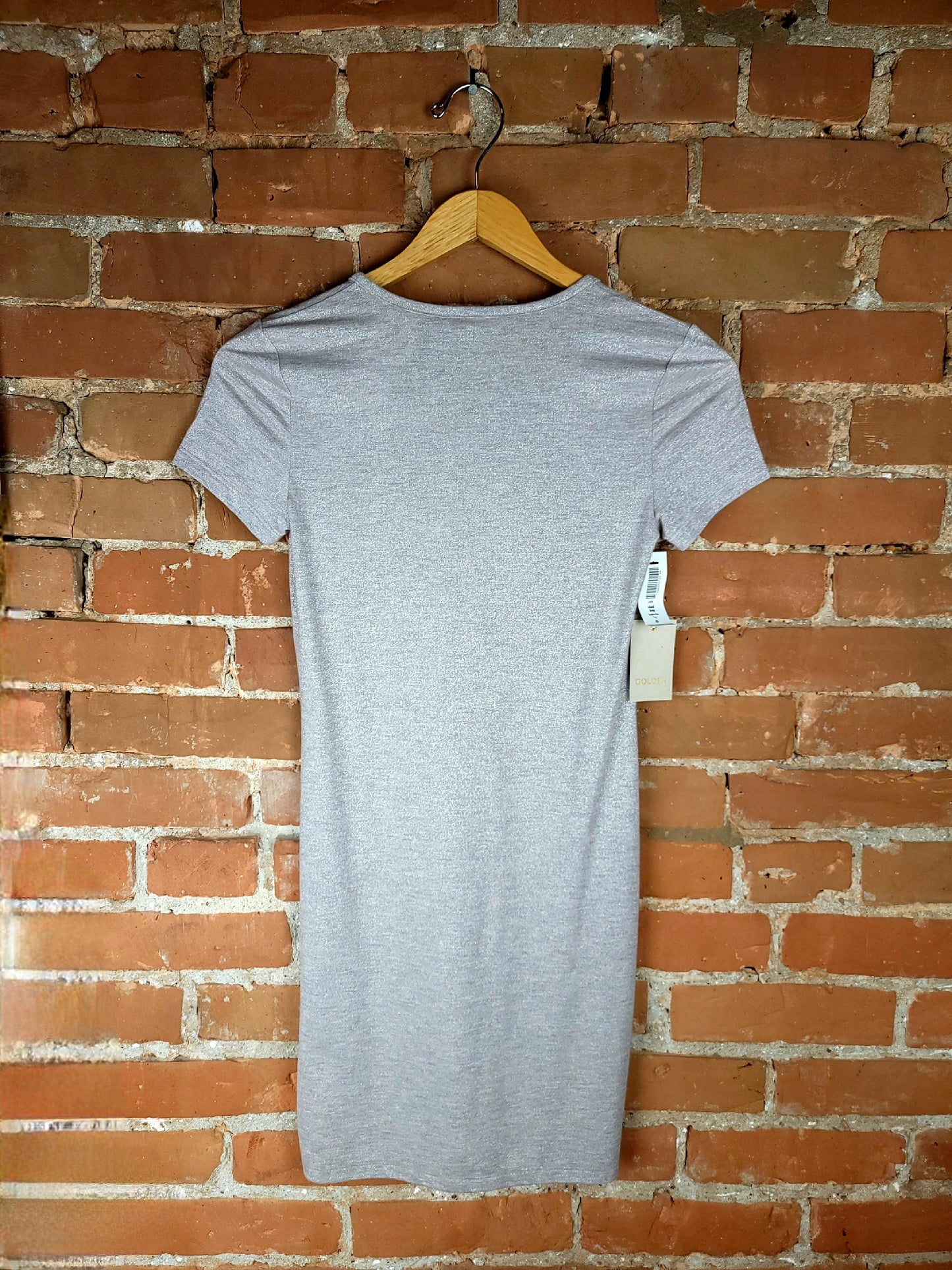 Aritzia Golden Silver Dress