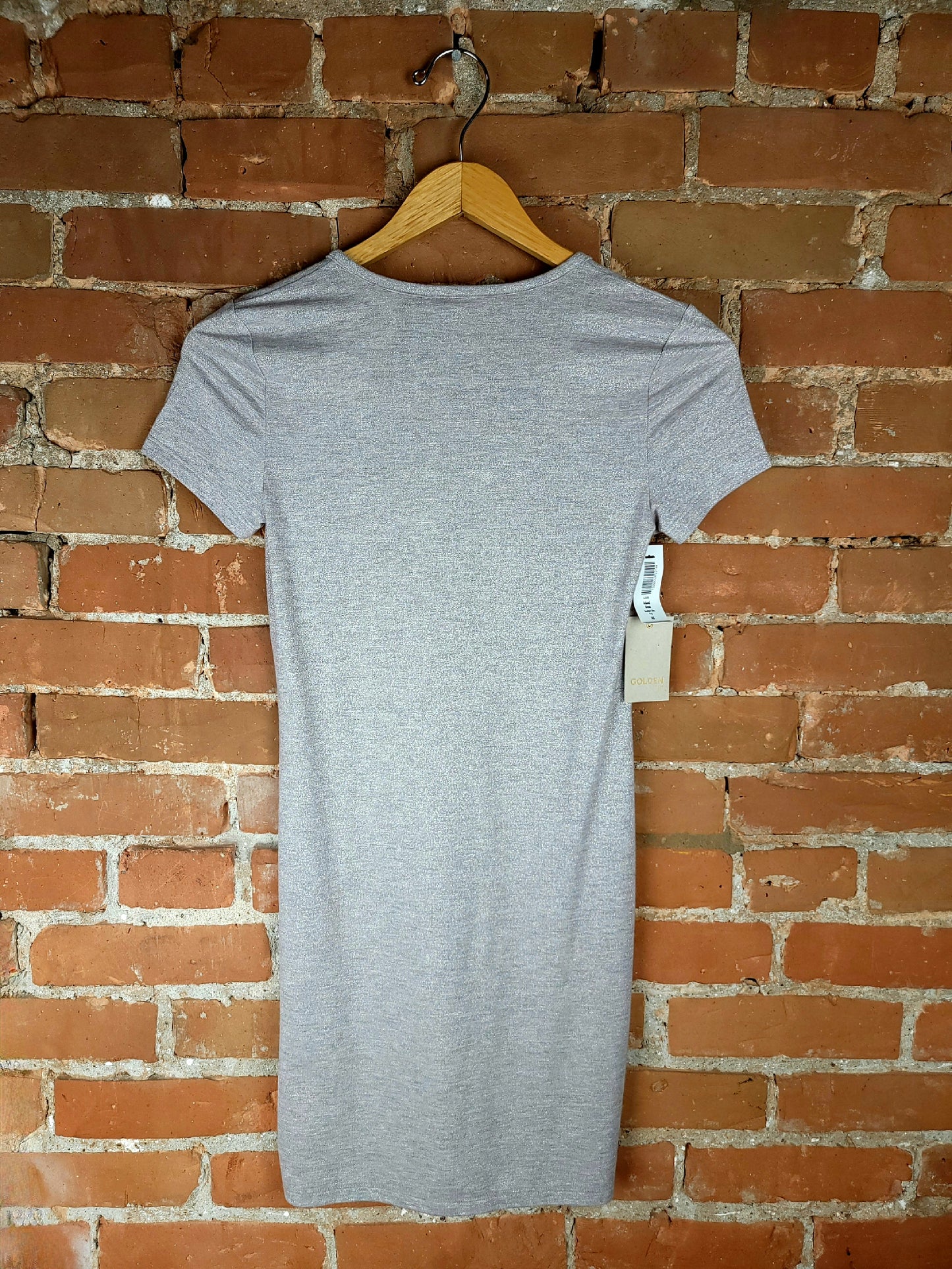 Aritzia Golden Silver Dress
